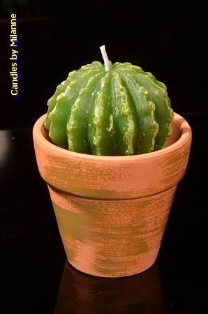 Cactus kaars, 10x7cm