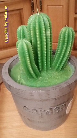 Cactus kaars XXL, hoogte: 32 cm, type B
